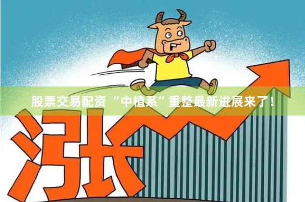 股票交易配资 “中植系”重整最新进展来了！